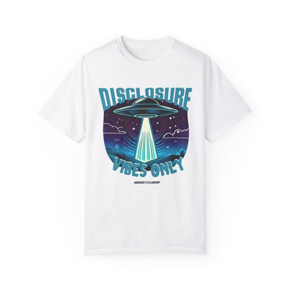 Disclosure Vibes Only TEE