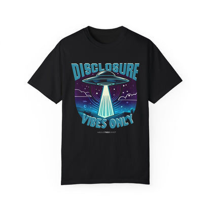 Disclosure Vibes Only TEE