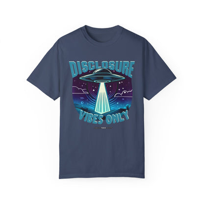 Disclosure Vibes Only TEE